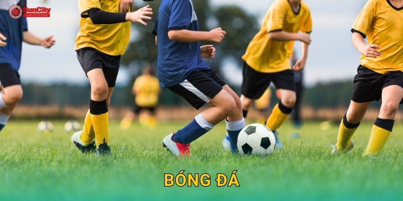 Bóng đá: Trải nghiệm đỉnh cao – Đặt cược hấp dẫn tại suncity