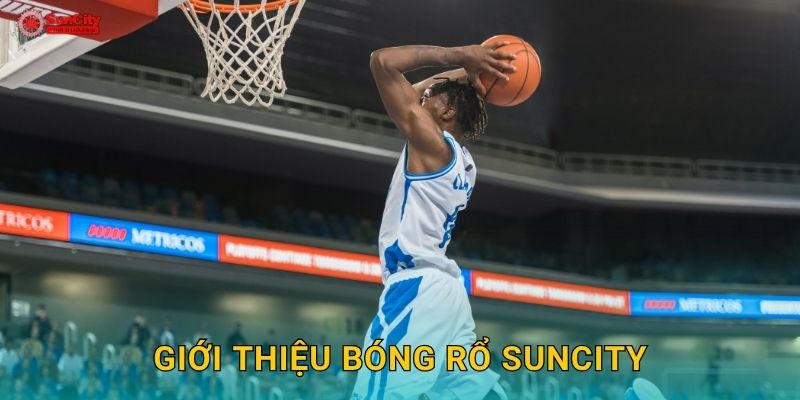 Giới thiệu Bóng rổ suncity