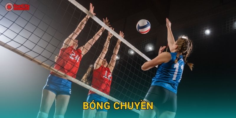 Bóng chuyền năng động – Niềm đam mê thể thao tại suncity
