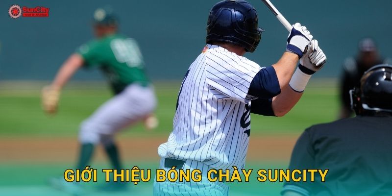 Giới thiệu Bóng chày suncity